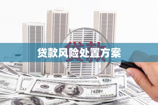 定结贷款风险处置方案