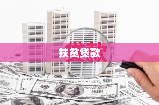 定结扶贫贷款