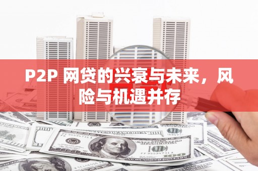 定结P2P 网贷的兴衰与未来，风险与机遇并存