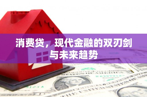 定结消费贷，现代金融的双刃剑与未来趋势