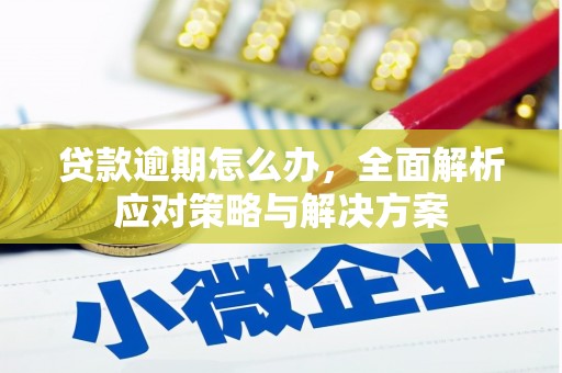 定结贷款逾期怎么办，全面解析应对策略与解决方案