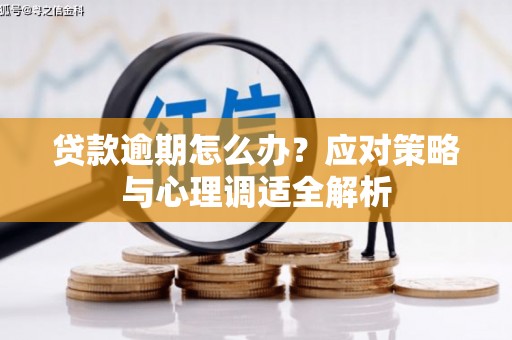 定结贷款逾期怎么办？应对策略与心理调适全解析