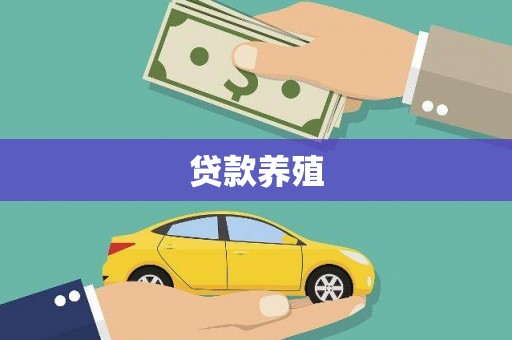 定结贷款养殖