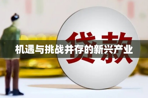定结机遇与挑战并存的新兴产业