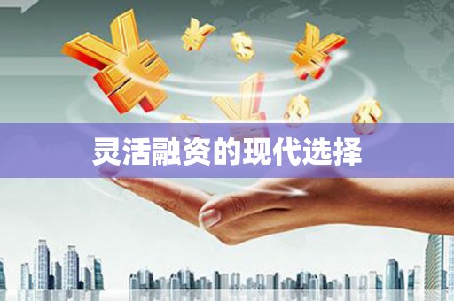 定结灵活融资的现代选择