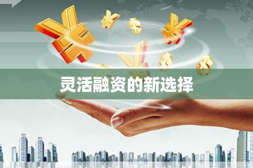 定结灵活融资的新选择