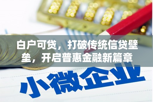 定结白户可贷，打破传统信贷壁垒，开启普惠金融新篇章