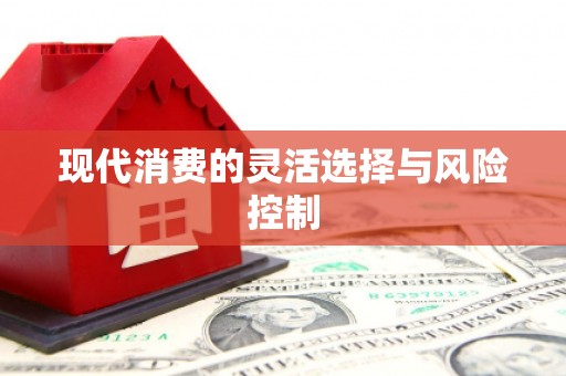 定结现代消费的灵活选择与风险控制