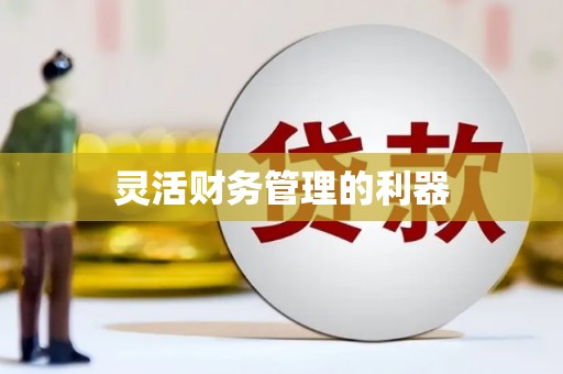 定结灵活财务管理的利器