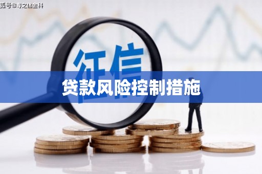 定结贷款风险控制措施