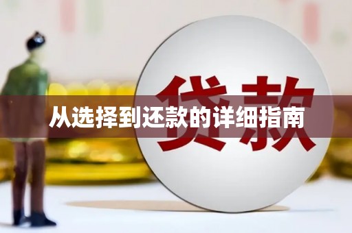 定结从选择到还款的详细指南