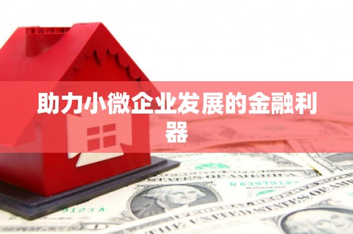 定结助力小微企业发展的金融利器