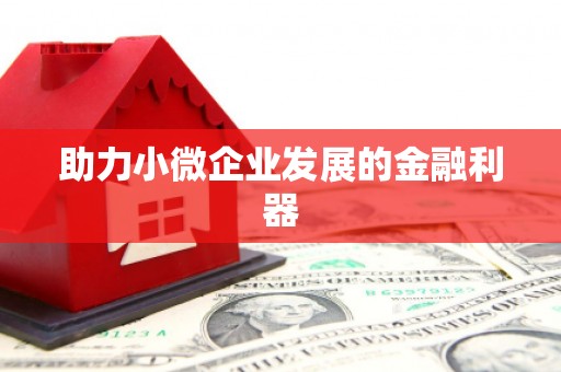 定结助力小微企业发展的金融利器