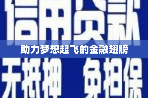 定结助力梦想起飞的金融翅膀