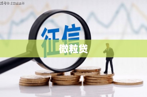 定结微粒贷