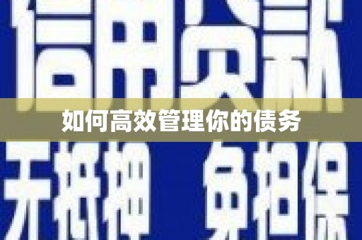 定结如何高效管理你的债务