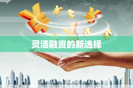 定结灵活融资的新选择