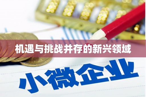 定结机遇与挑战并存的新兴领域