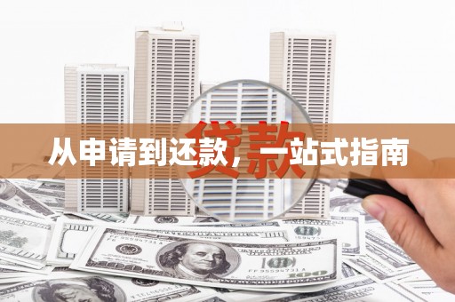 定结从申请到还款，一站式指南