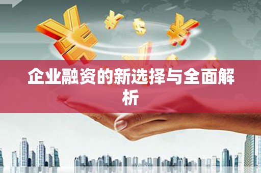 定结企业融资的新选择与全面解析