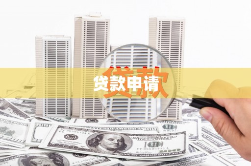 定结贷款申请