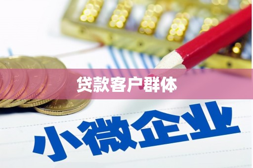 定结贷款客户群体