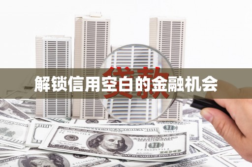 定结解锁信用空白的金融机会