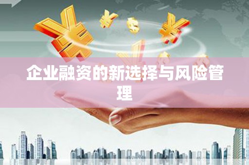 定结企业融资的新选择与风险管理
