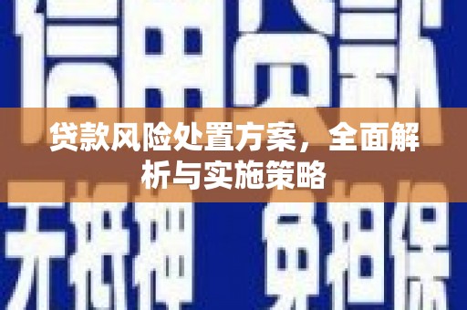 定结贷款风险处置方案，全面解析与实施策略
