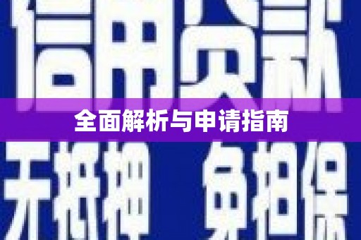 定结全面解析与申请指南
