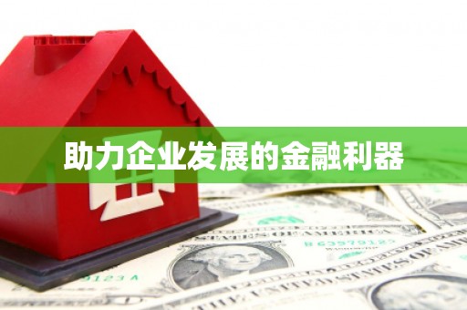 定结助力企业发展的金融利器