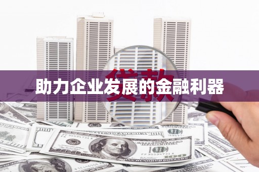 定结助力企业发展的金融利器