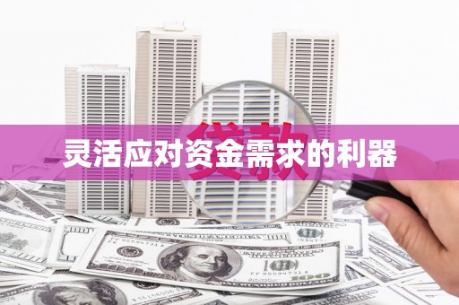 定结灵活应对资金需求的利器