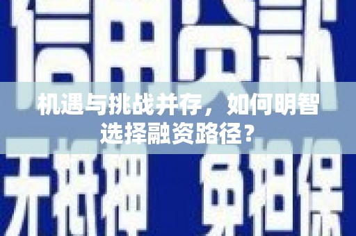 定结机遇与挑战并存，如何明智选择融资路径？
