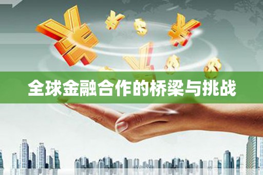 定结全球金融合作的桥梁与挑战