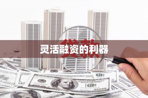 定结灵活融资的利器