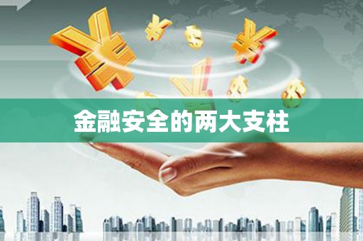 定结金融安全的两大支柱