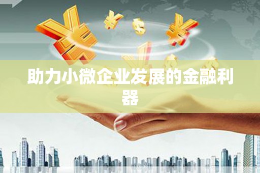 定结助力小微企业发展的金融利器