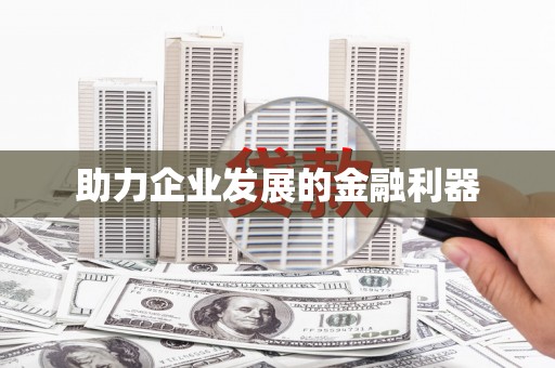 定结助力企业发展的金融利器