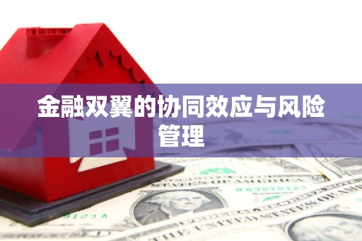 定结金融双翼的协同效应与风险管理