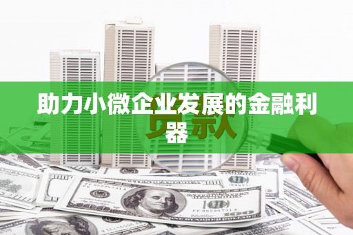 定结助力小微企业发展的金融利器