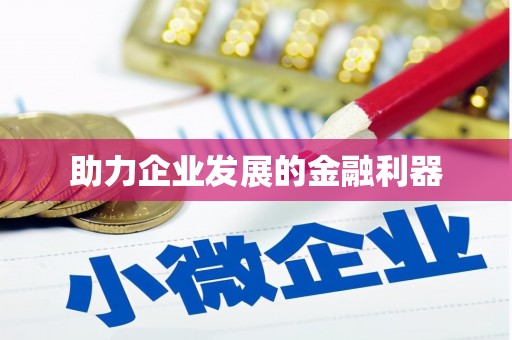 定结助力企业发展的金融利器