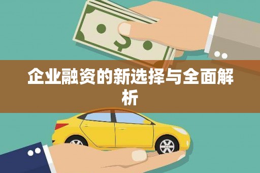定结企业融资的新选择与全面解析