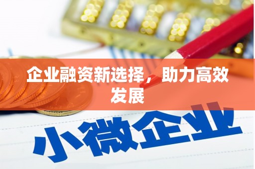 定结企业融资新选择，助力高效发展