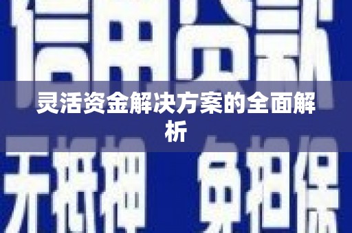 定结灵活资金解决方案的全面解析