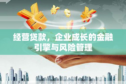 定结经营贷款，企业成长的金融引擎与风险管理