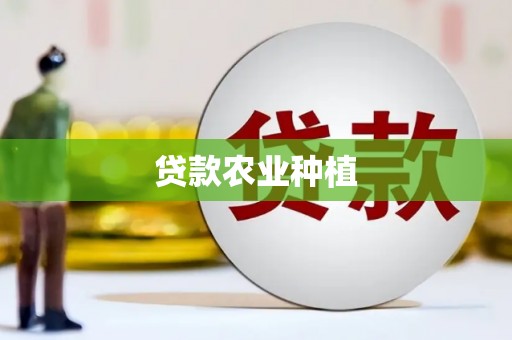 定结贷款农业种植