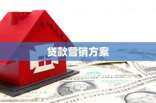 定结贷款营销方案